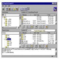 AutoFTP Professional Screenshot